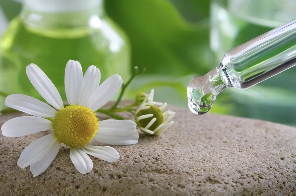 ätherischer Ölextrakt von Betreuungsdienst Nguyen